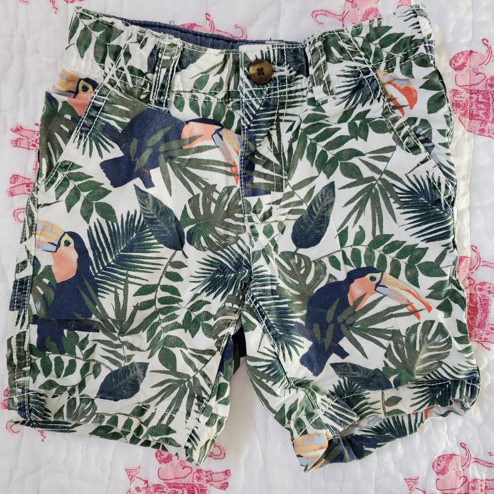 Crazy 8 tropical print adjustable waist shorts
